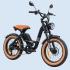 E- BIKE RAVA E- PULSE 750W, miniatura 3